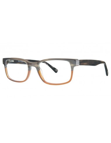 Randy Jackson RJ3037 Eyeglasses une grave pollution 