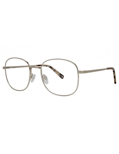 Randy Jackson RJ1113 Eyeglasses une grave pollution 