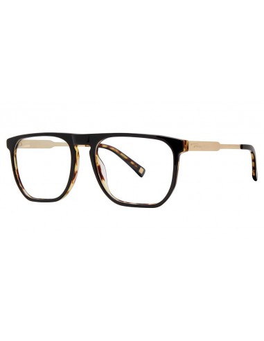 Randy Jackson RJ3061 Eyeglasses de technologie